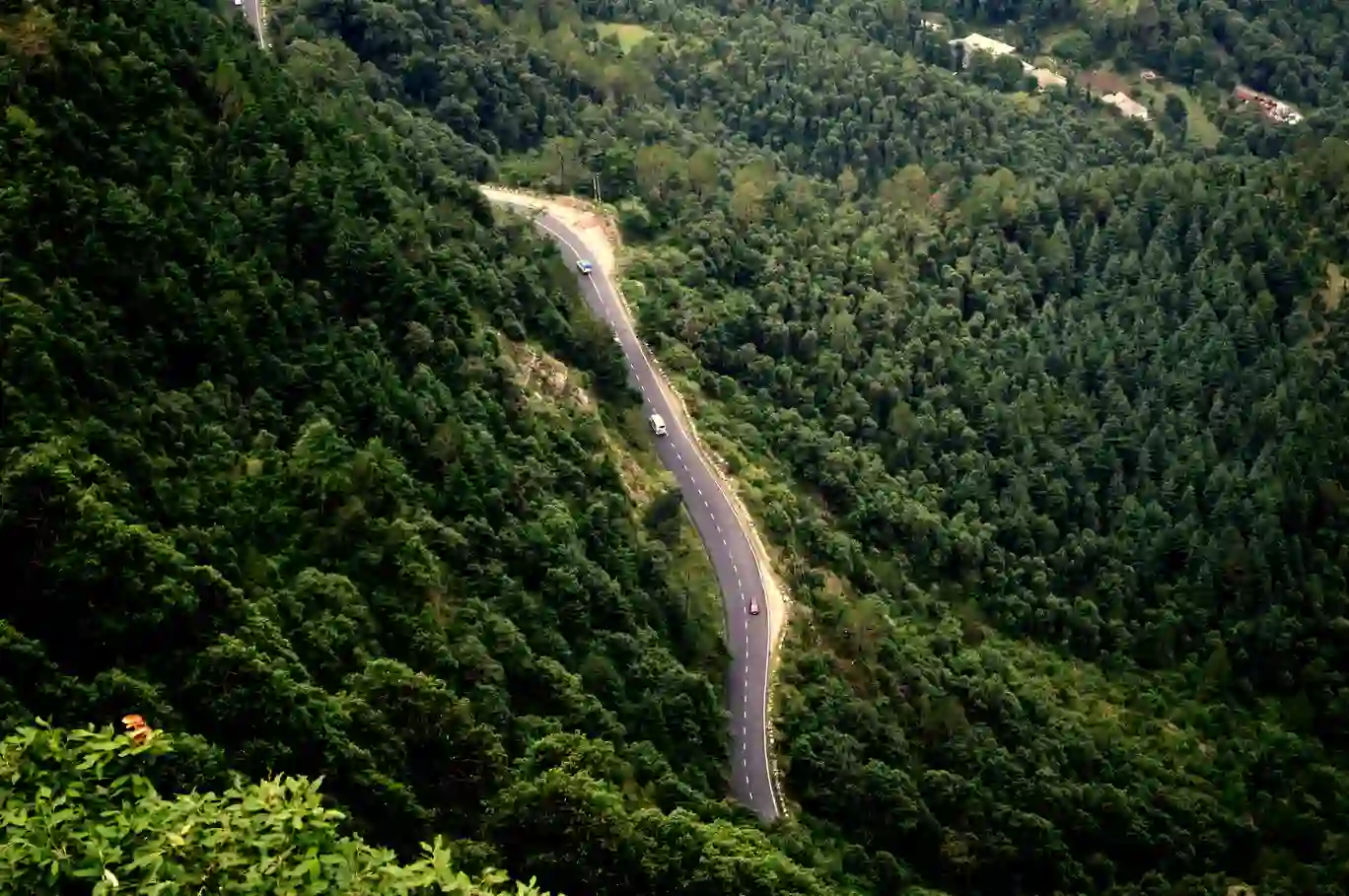 Kashmir Great Lakes Trek | A Gems in Kashmir For Trekkers