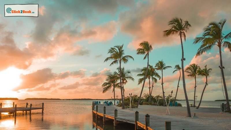 A Journey into Florida's Unique Ecosystem