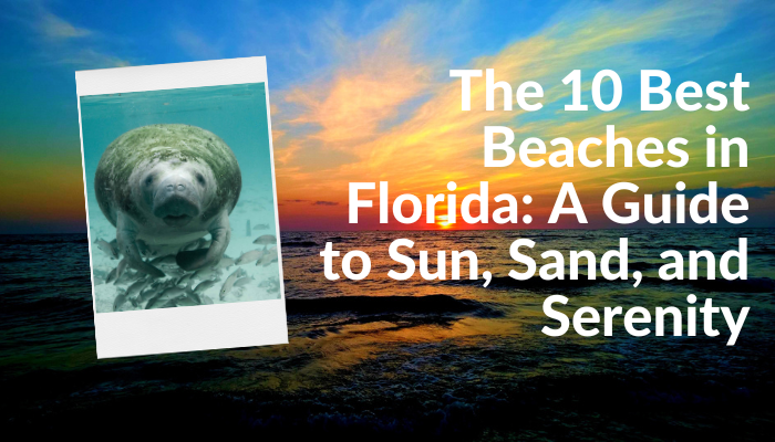 Best Beaches in Florida: A Guide to Sun, Sand, and Serenity
