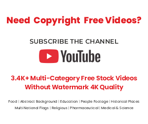 Download Free 4K People Stock Videos & Footage